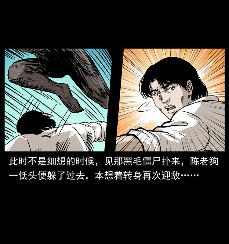 231 东海木龙29