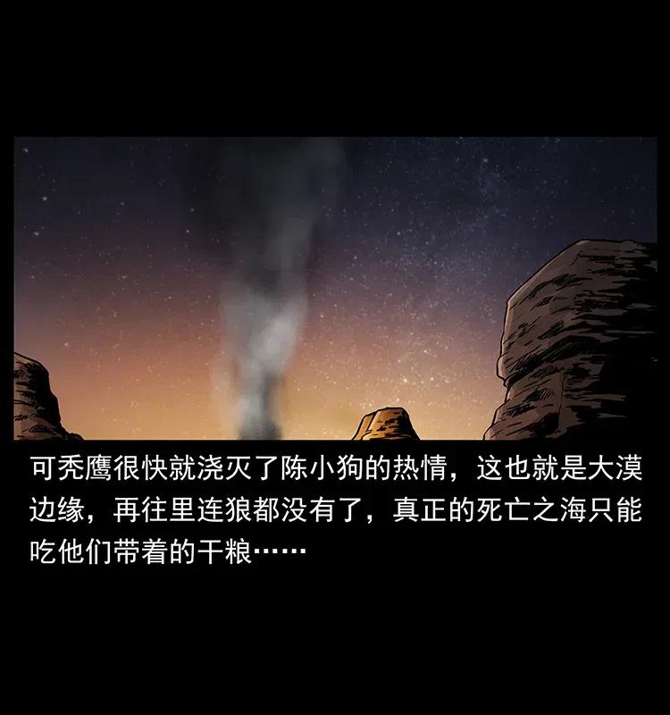 318 沙漠秃鹰38