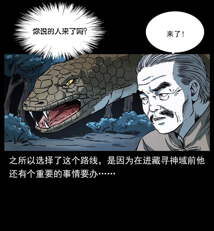 262 藏地神族49