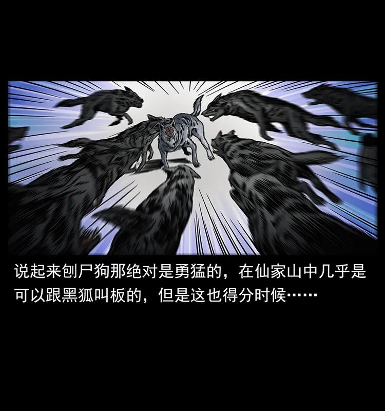 252 危机！危机2