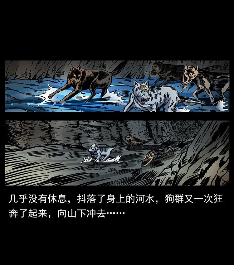 170 布局27