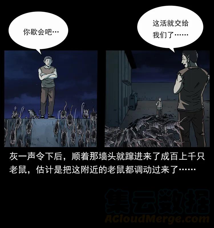 251 刨尸狗遇险4