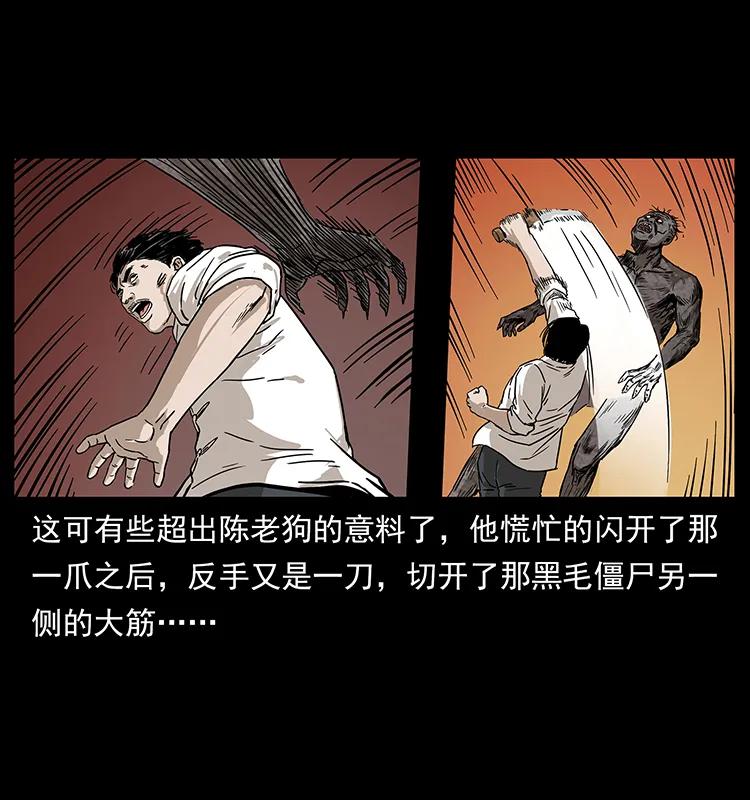 231 东海木龙25