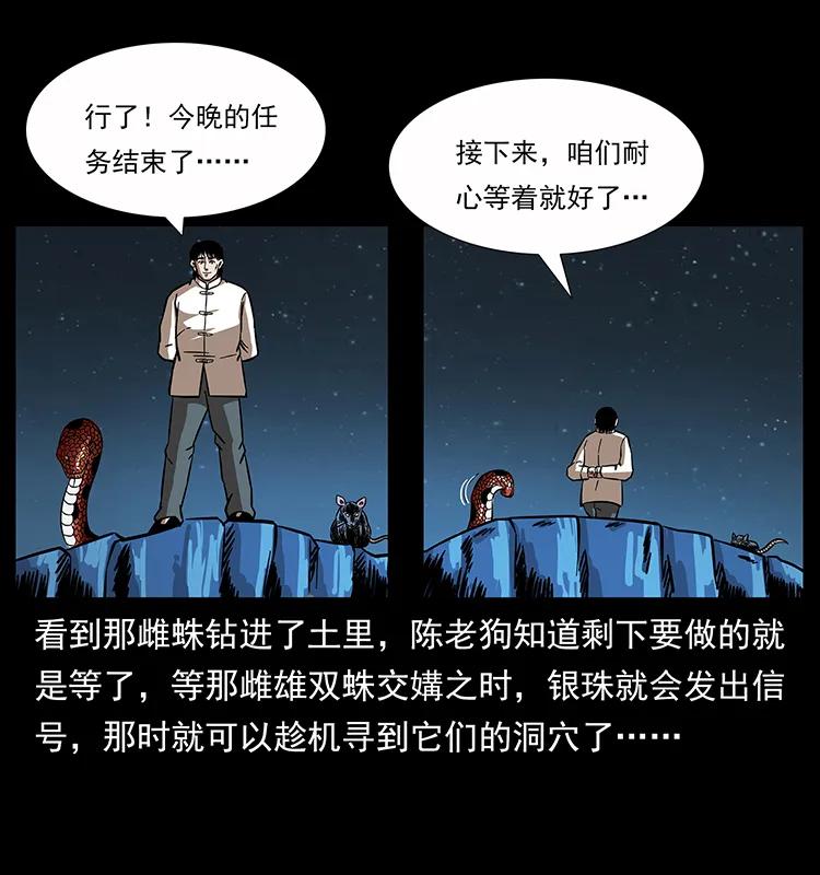 163 陈老狗下南疆23