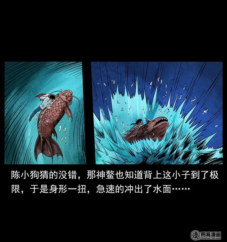 124 神鳌31