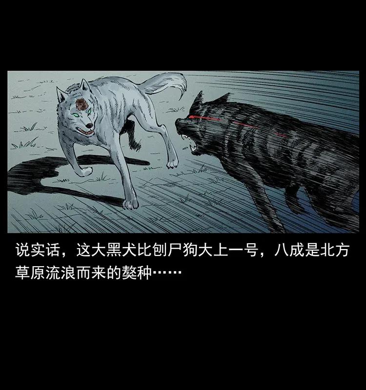 344 刨尸狗&amp;amp;amp;大冥皇13