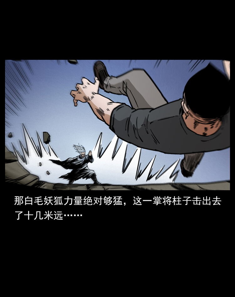 486 人与狐11