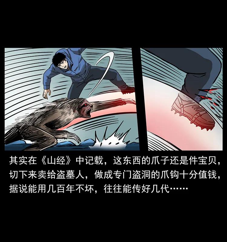 267 万山之祖——昆仑！51