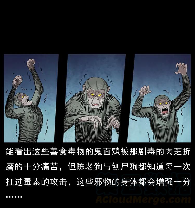 082 鬼桃树44