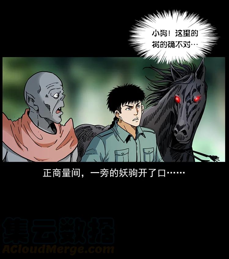 389 迷障63