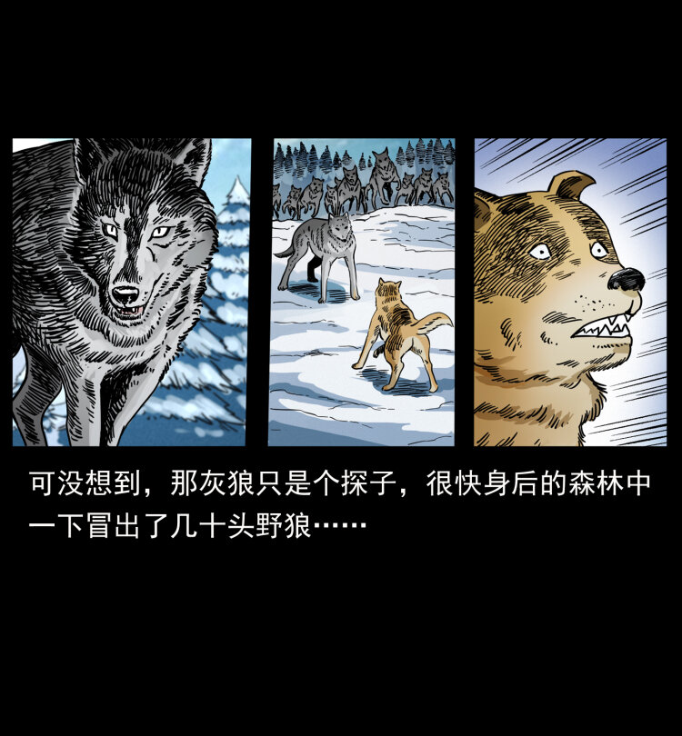 469 冻土的世界67