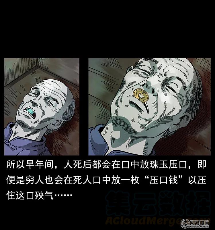 119 殃48