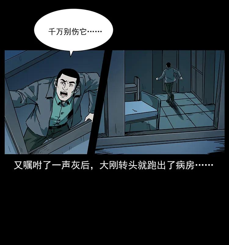 228 凶兽83