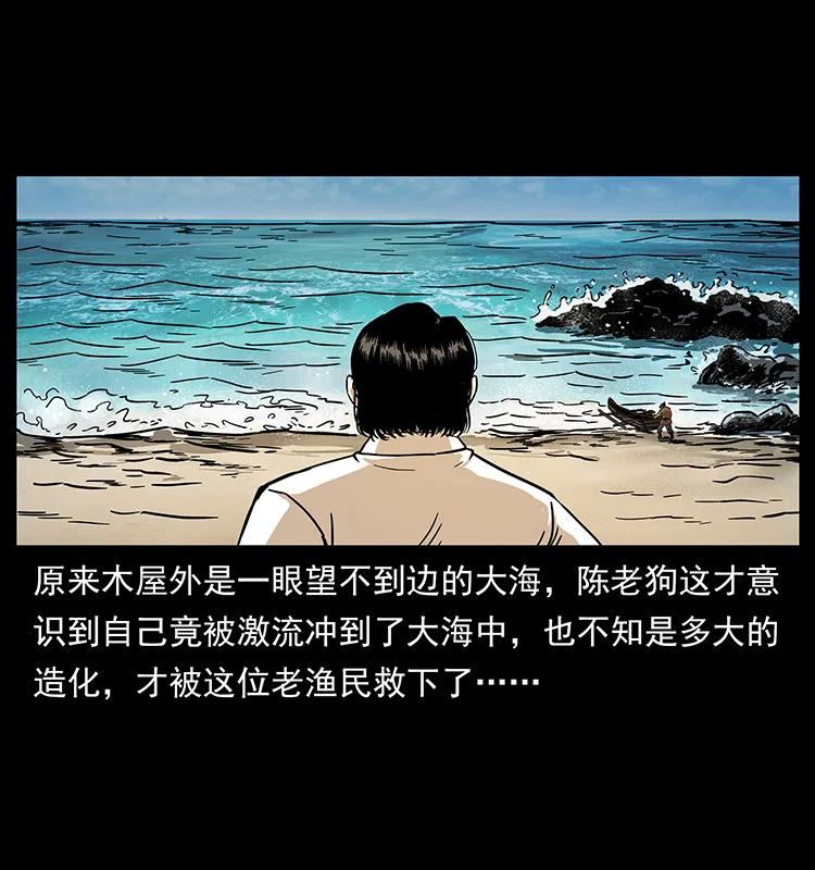 231 东海木龙65