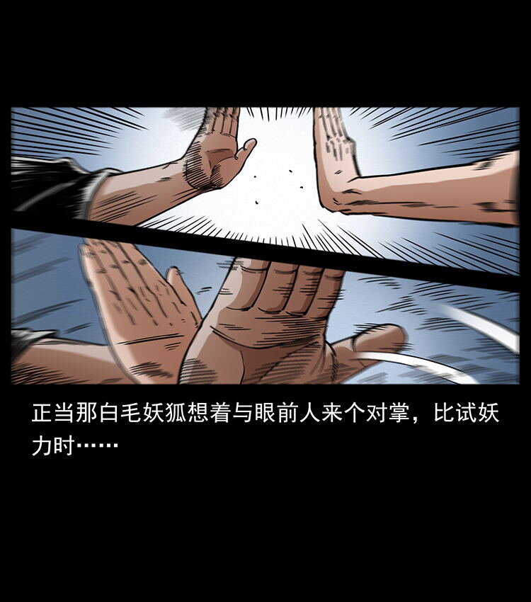 486 人与狐22