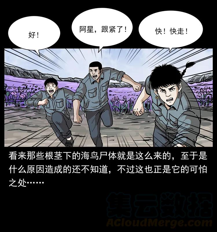 236 神秘的小岛52