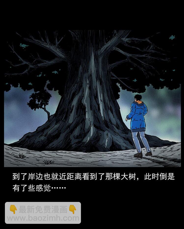 481 树29