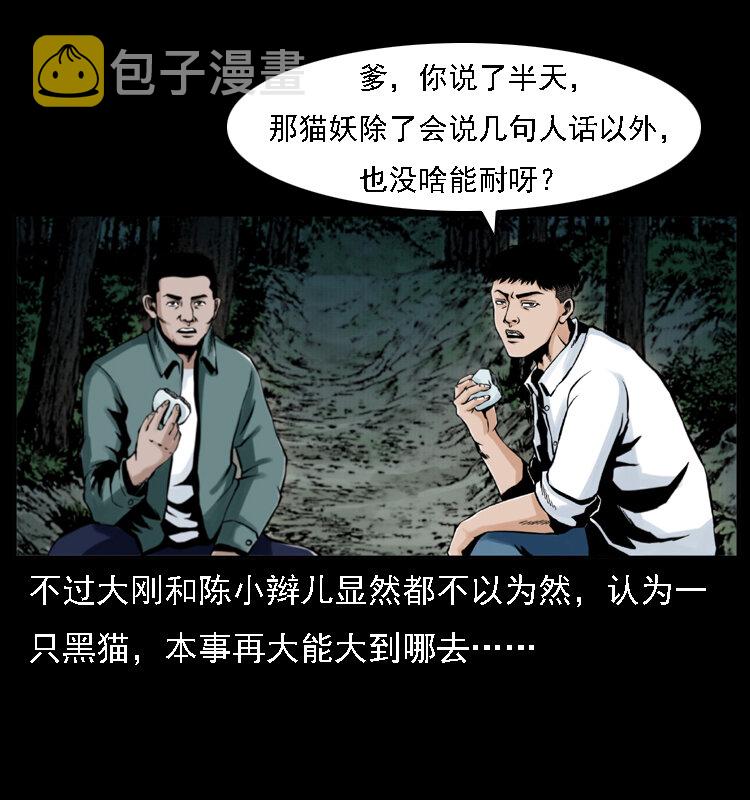 003 赵家的猫69