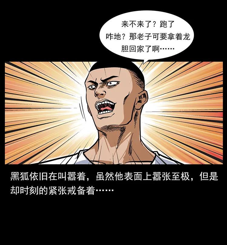 199 黑狐不好惹13