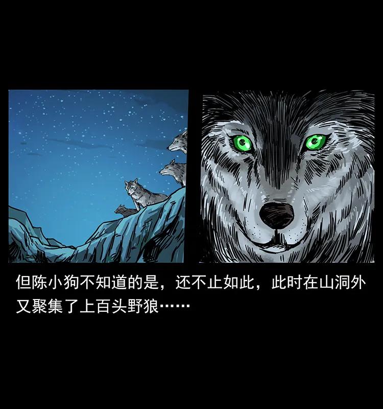 212 草原深处85