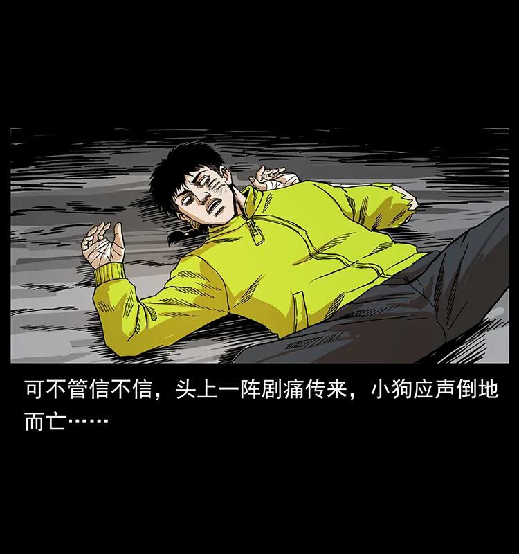 202 龙胆25