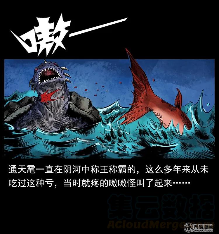 130 大战通天鼋24