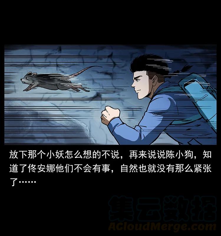 274 神族的计划28