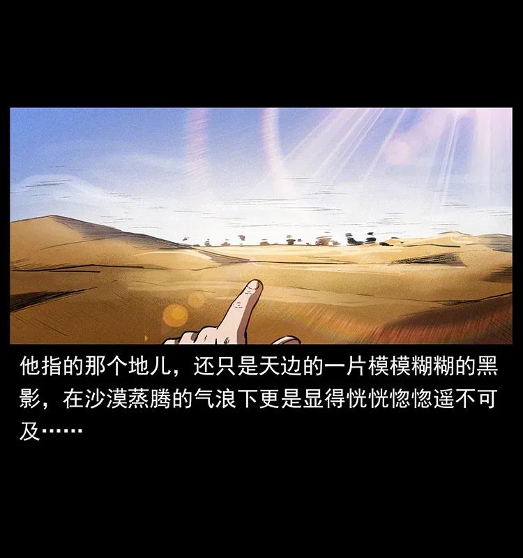 318 沙漠秃鹰7