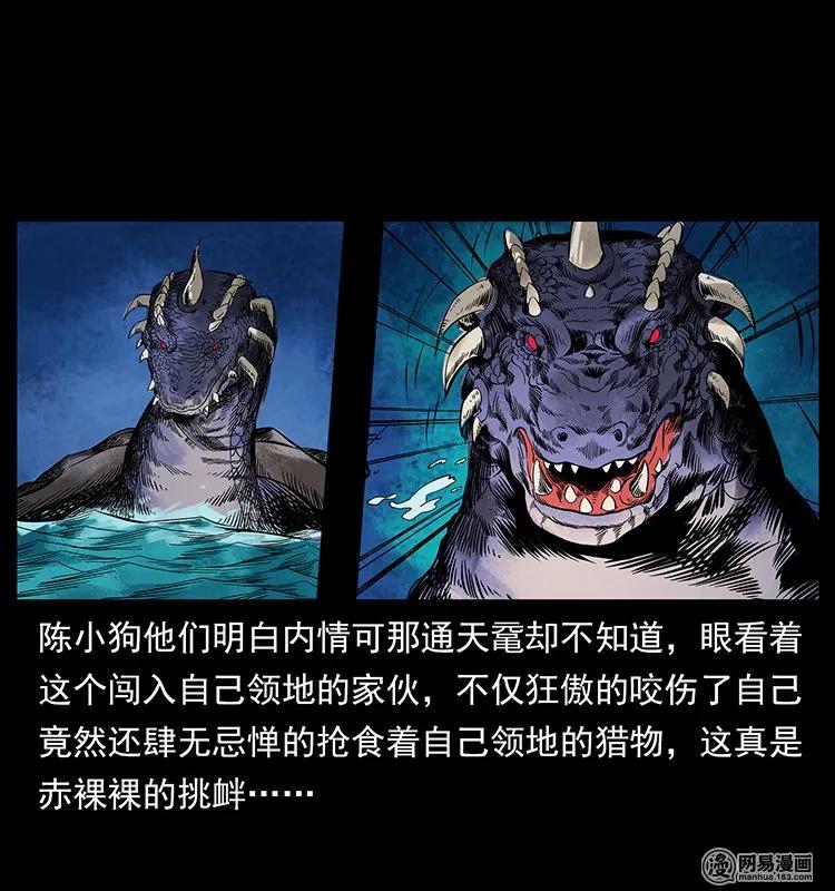 130 大战通天鼋31