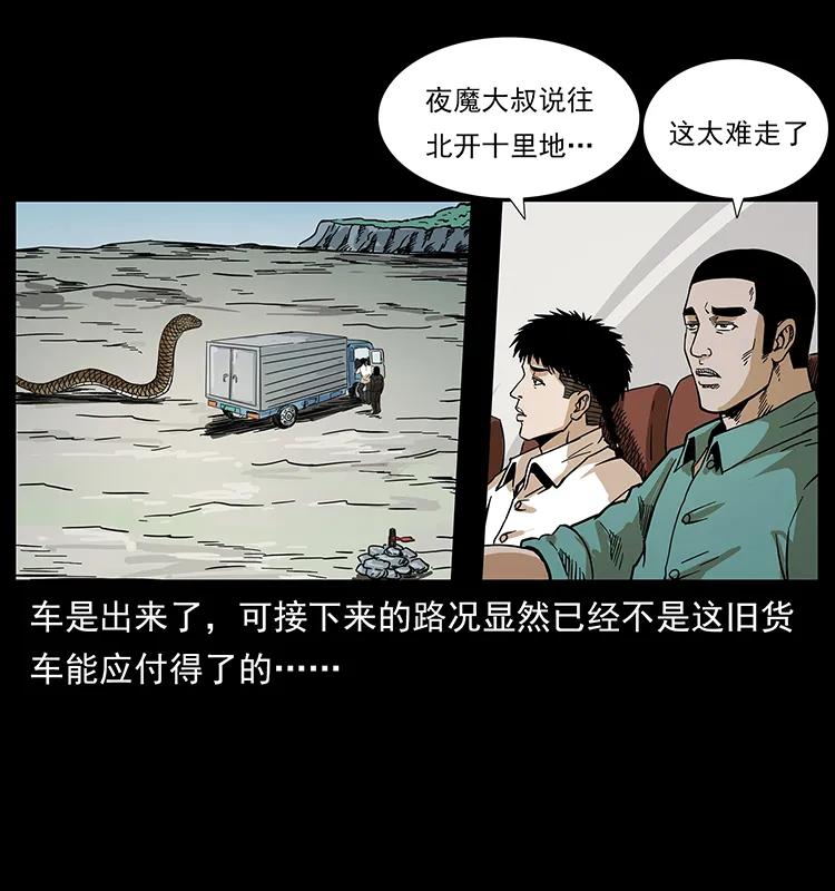 212 草原深处59