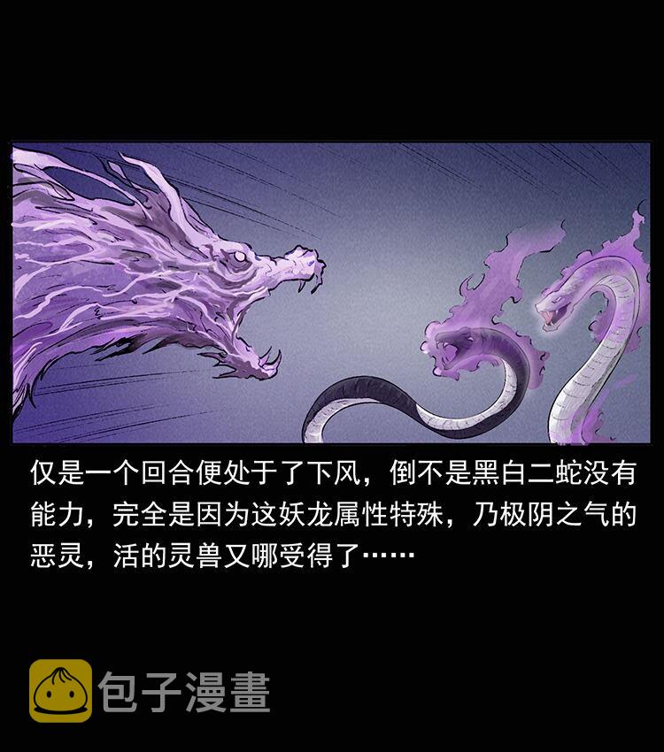外传 洛生传8 封毒5