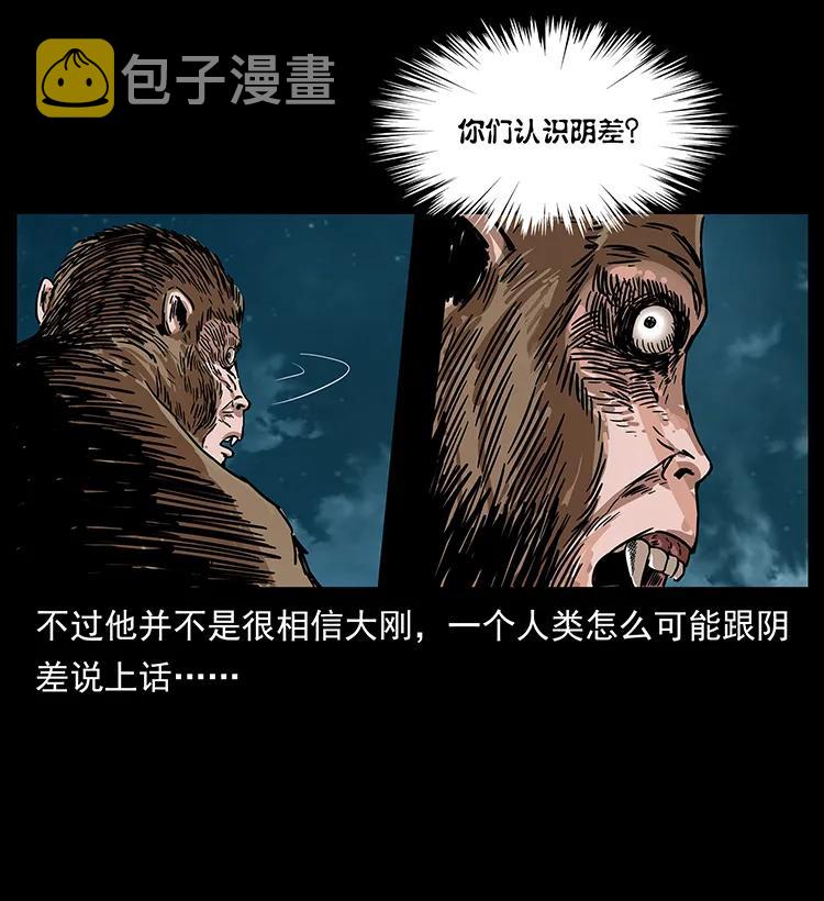 229 东海龙骨19