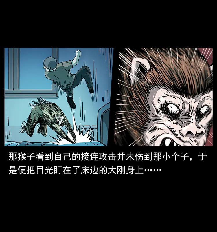 228 凶兽74