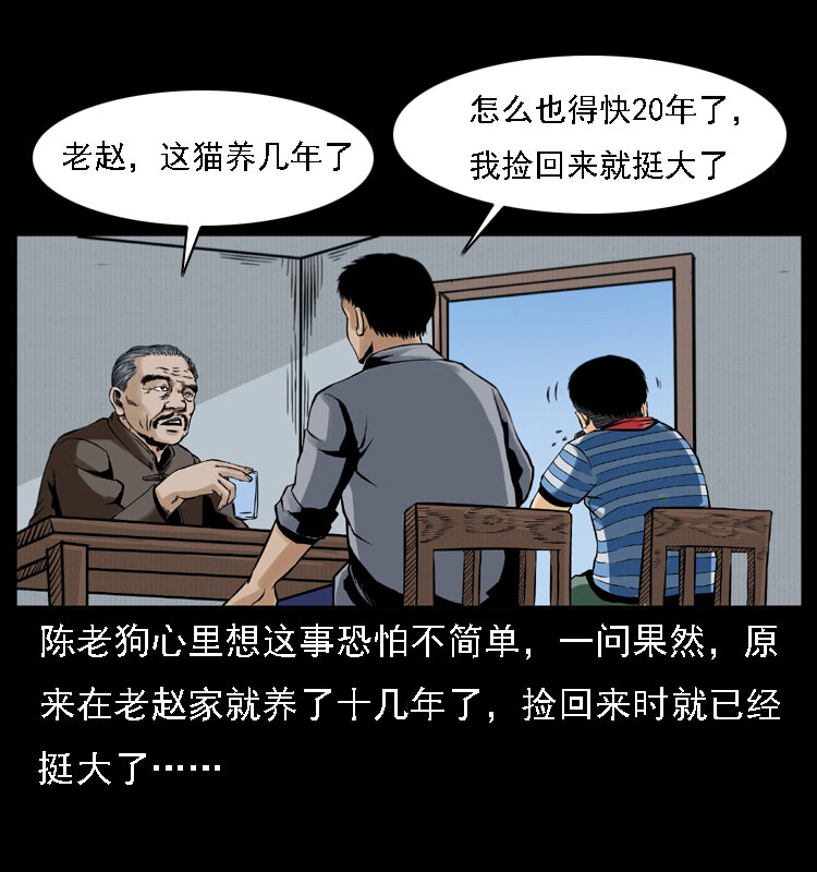 003 赵家的猫49