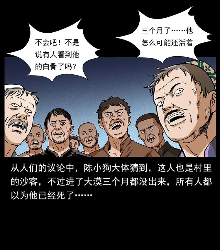 316 大漠归客74