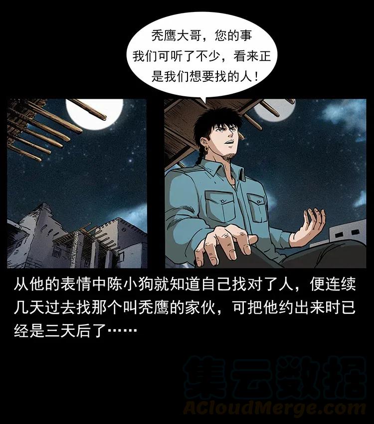 316 大漠归客80