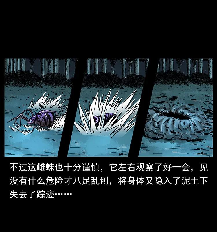 163 陈老狗下南疆22
