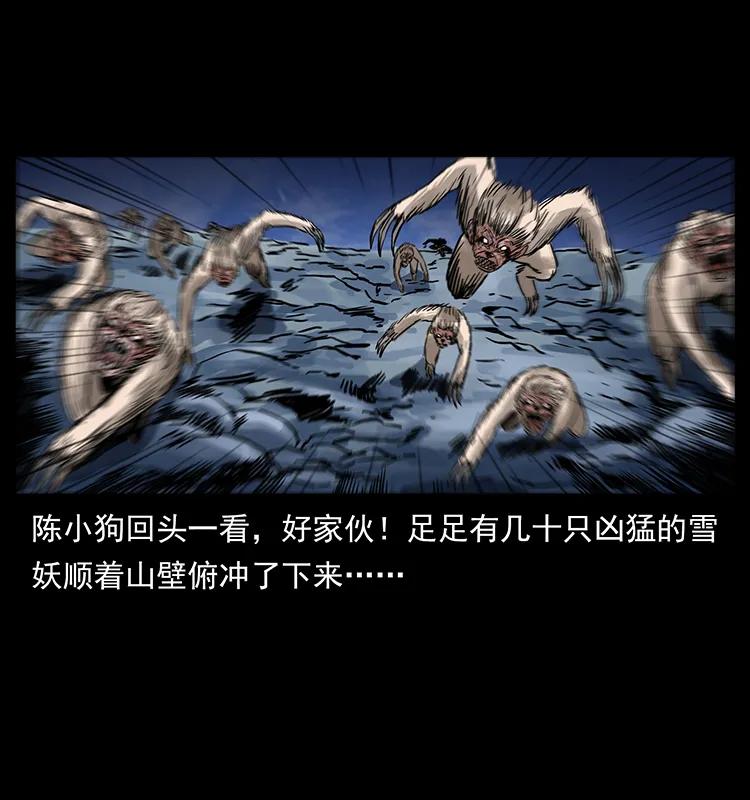 274 神族的计划49