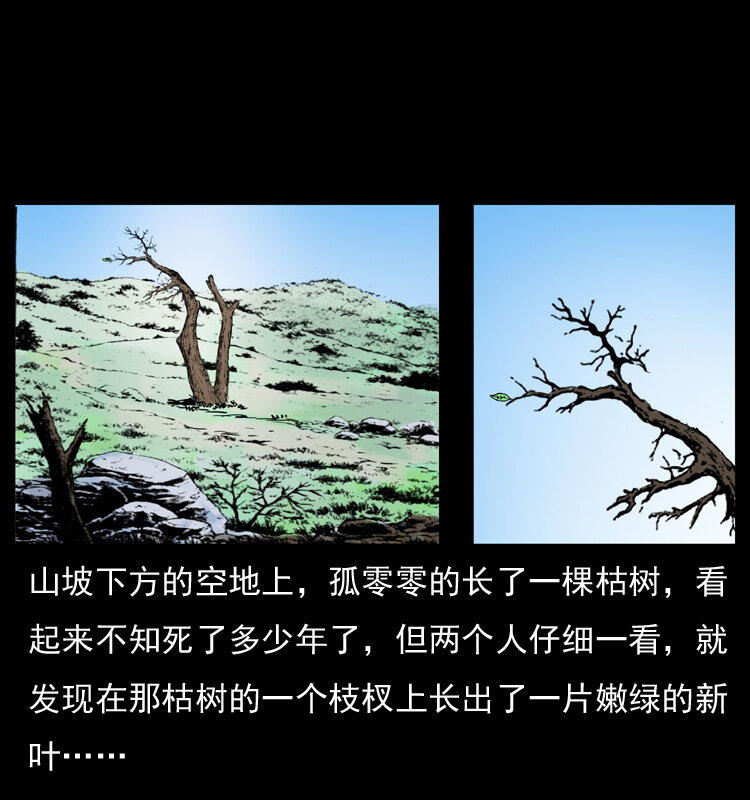 036 百雀丹（上）32