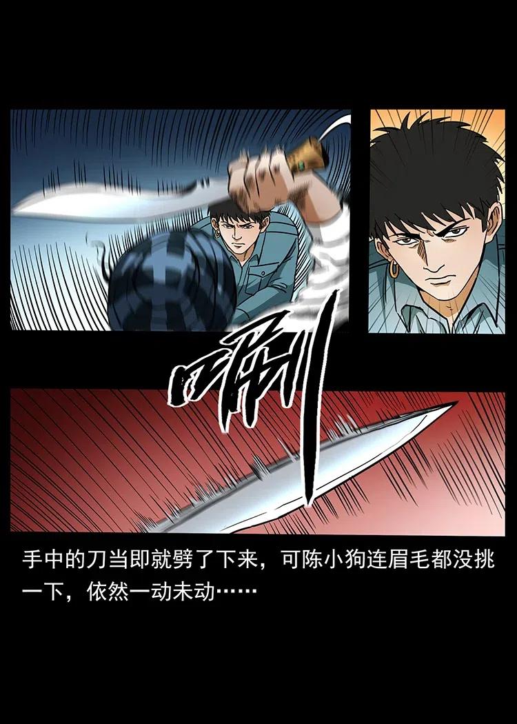 316 大漠归客66