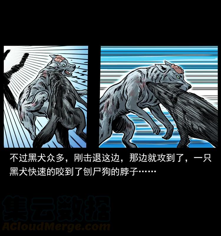 252 危机！危机28