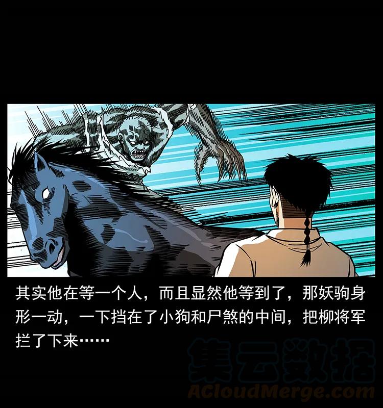 158 妖驹的选择72