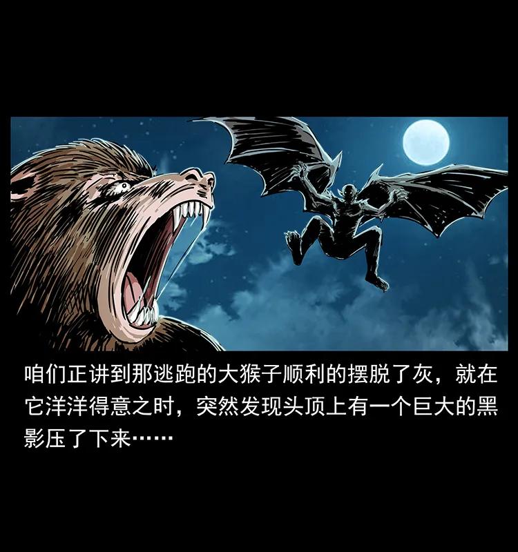 229 东海龙骨1