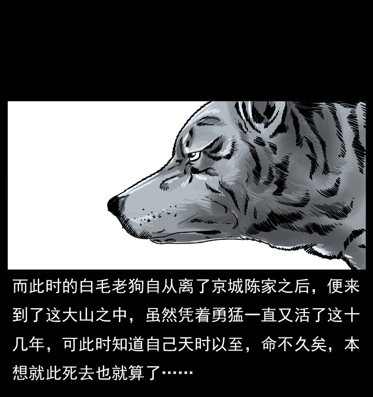 049 刨尸狗传奇258