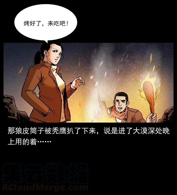 318 沙漠秃鹰40