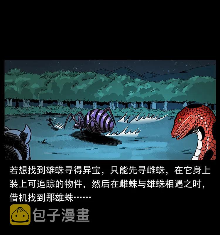 163 陈老狗下南疆19