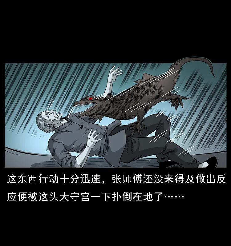 076 守宫19