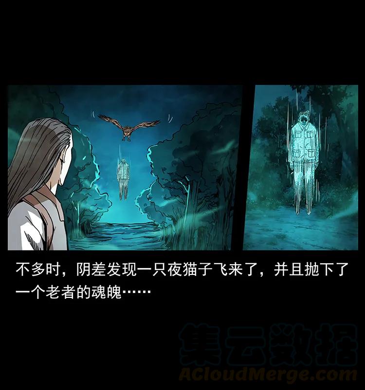 205 大曝光！4