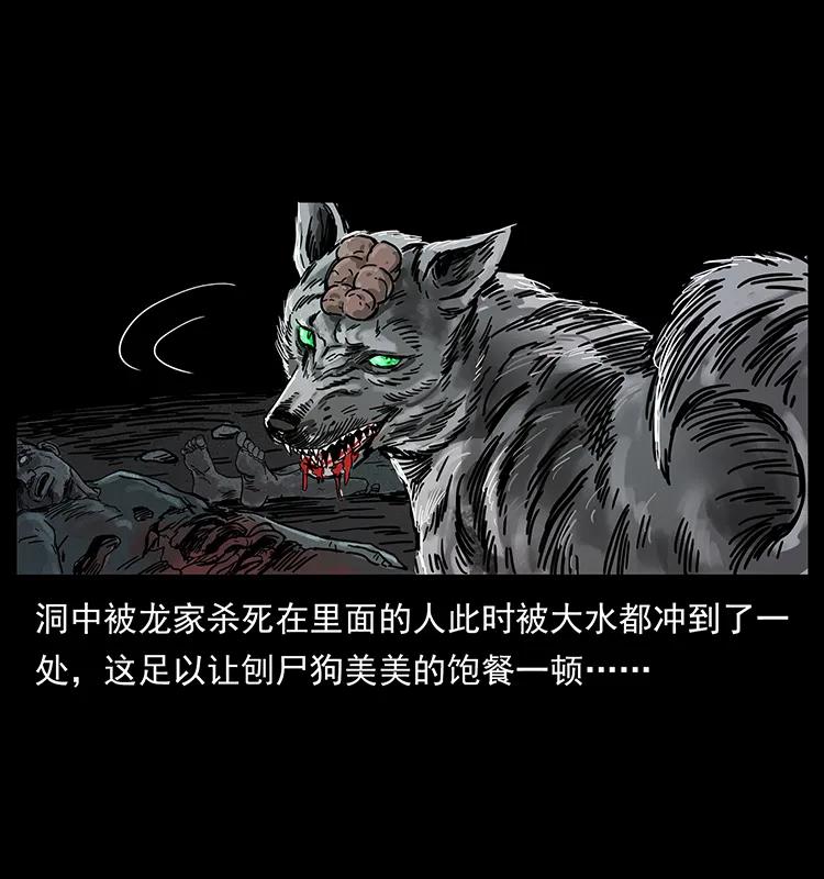 204 回家！70