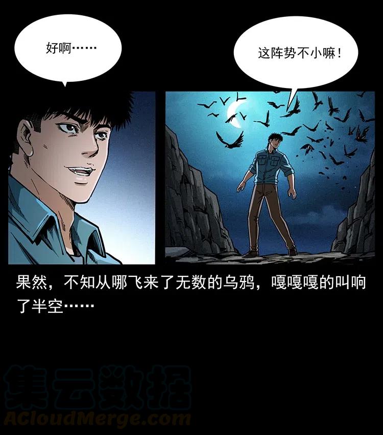 370 乌翅凤凰45